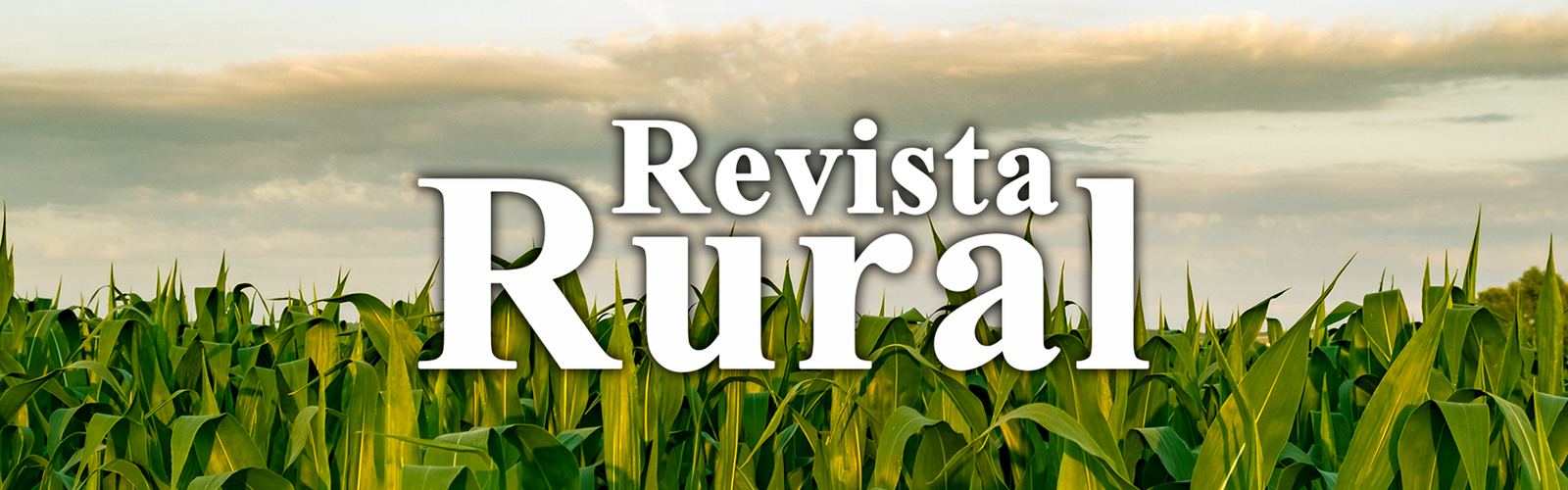 Capa Revista Rural