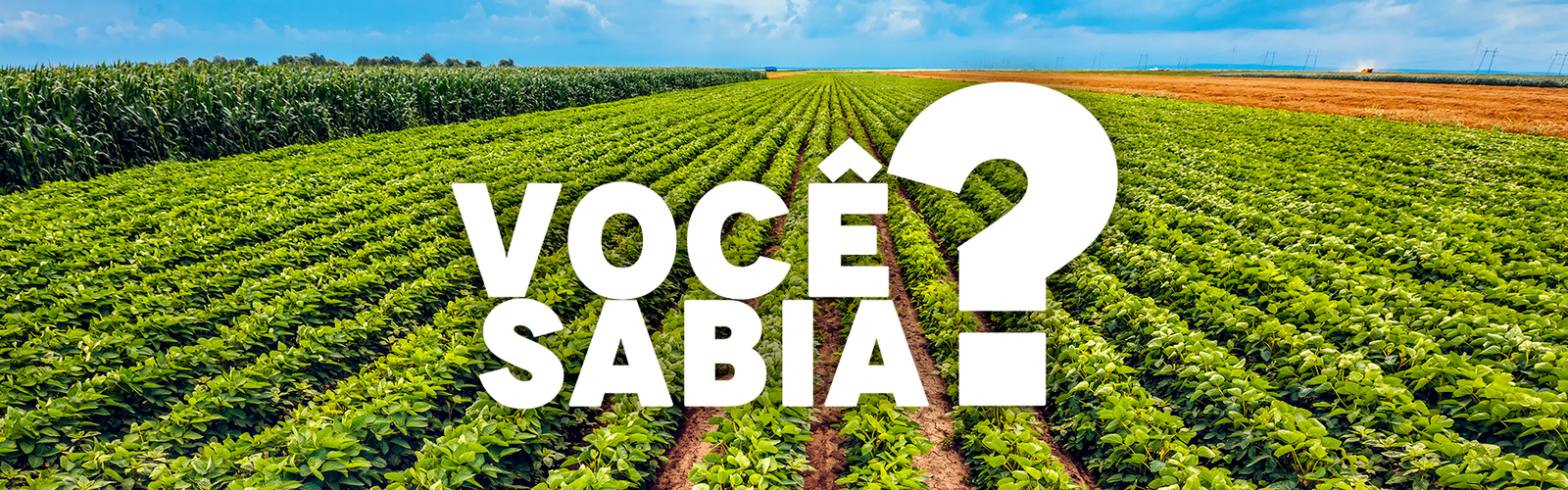 Capa Você Sabia?