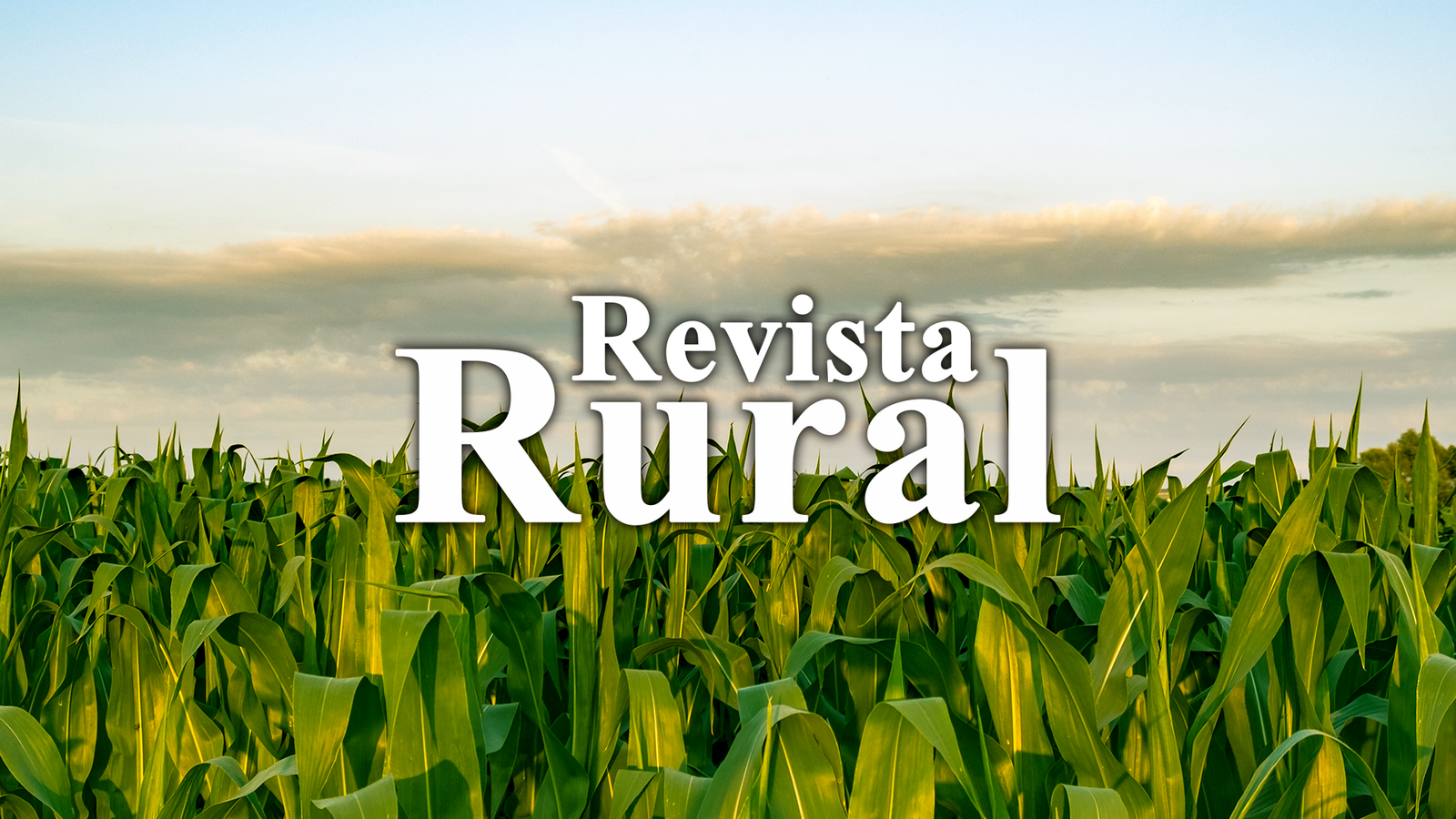 Revista Rural